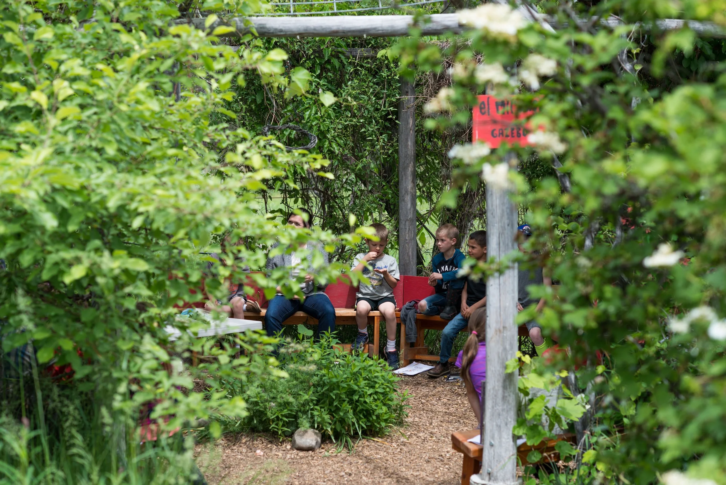 Classroom In Bloom-7751.jpg