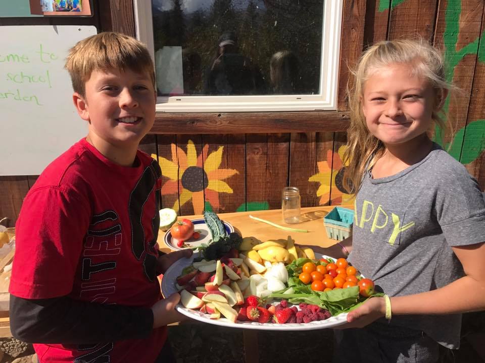 harvest4.jpg
