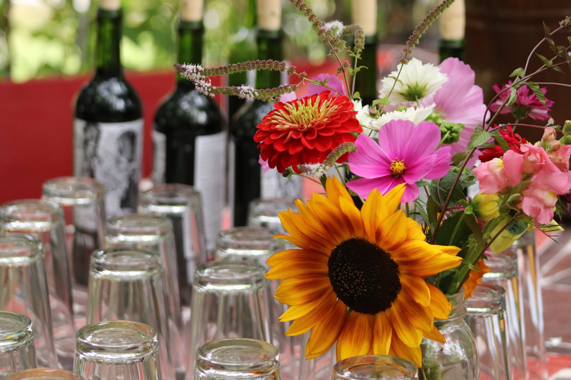 2019 Fall Garden Party and Silent Auction