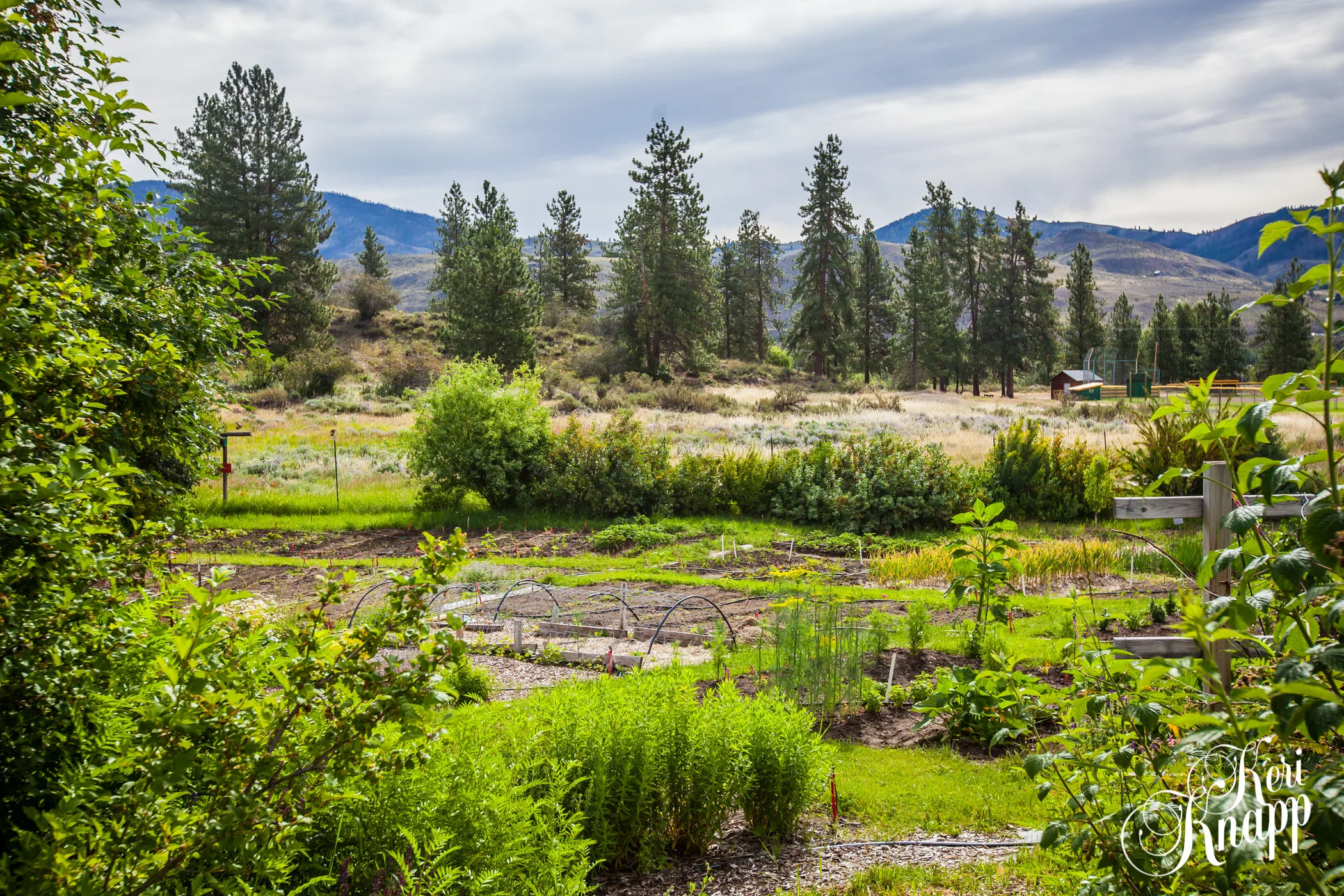 FARM TO FORK: Harvest Basket and Garden Tour