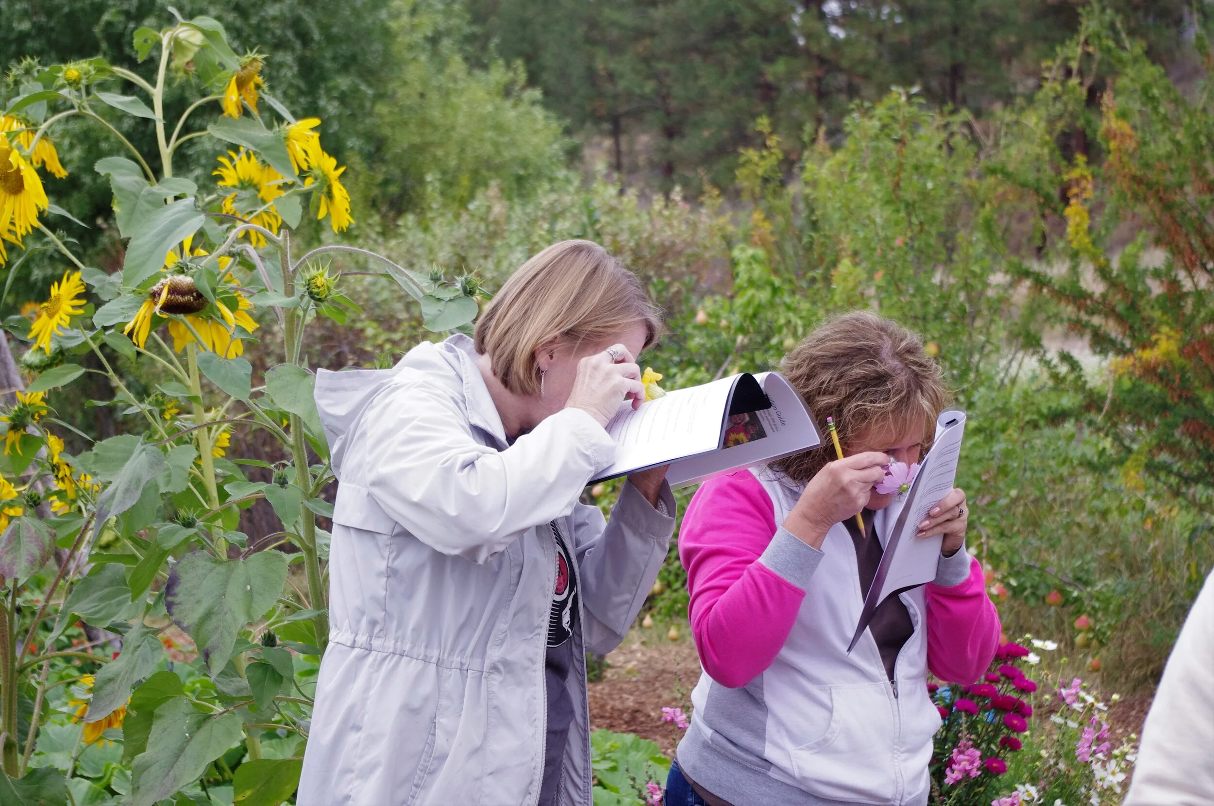 Garden and Science Teachers Clock Hr Training