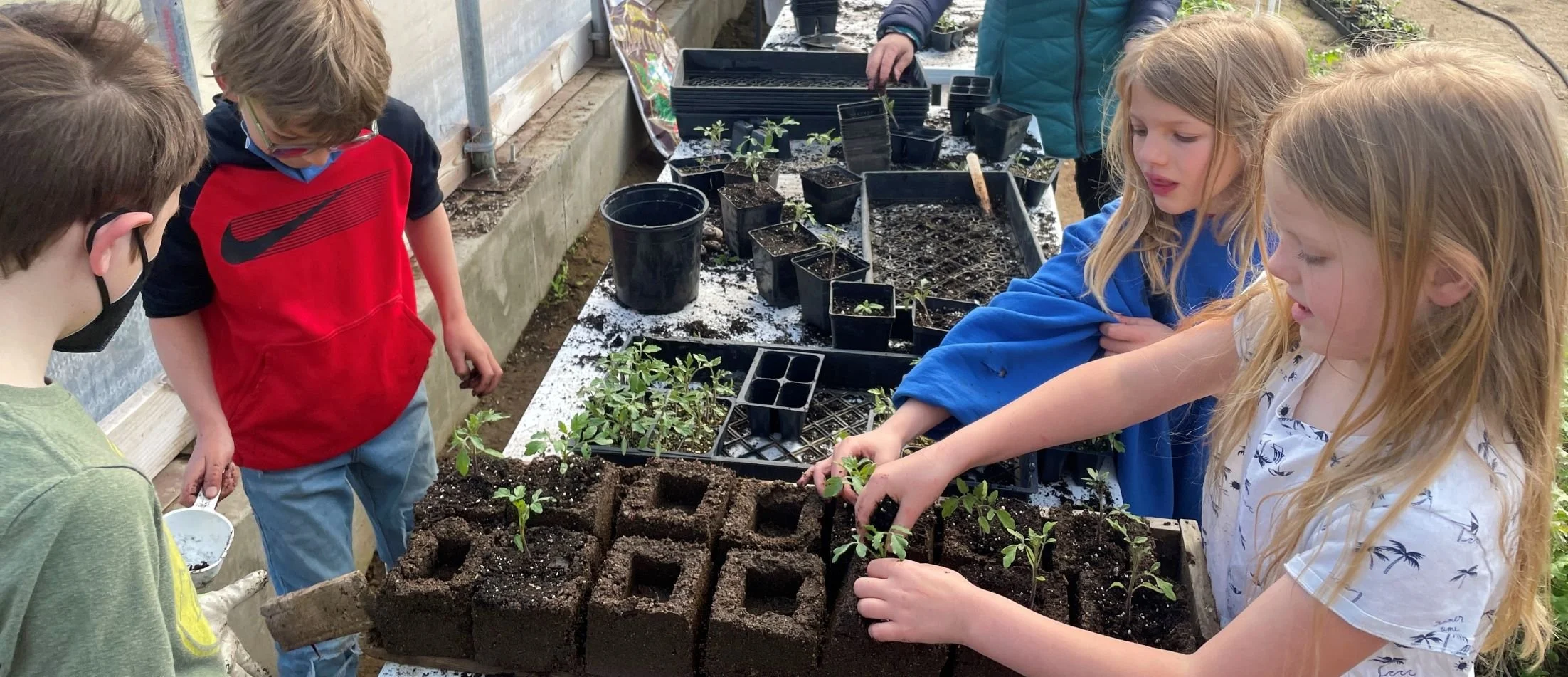 Spring Plant Sale