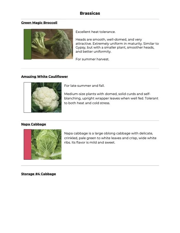 Brassica Plant Guide copy.jpg