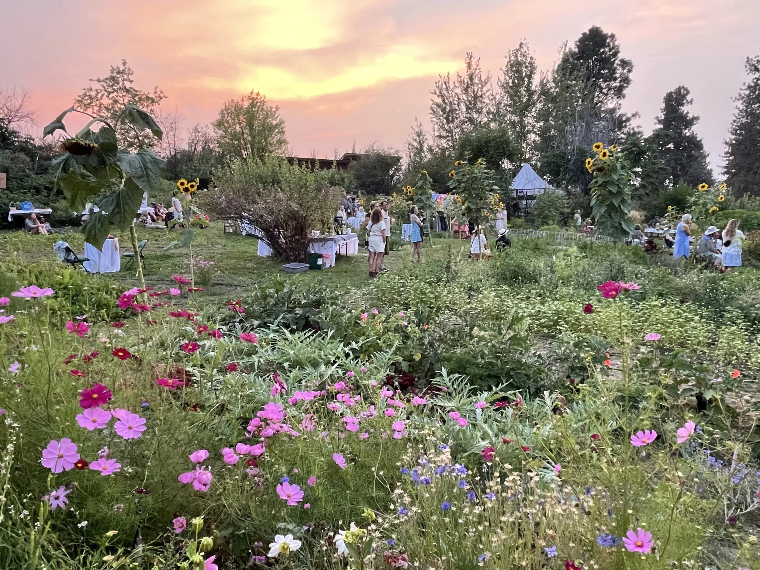 Classroom in Bloom Garden Party