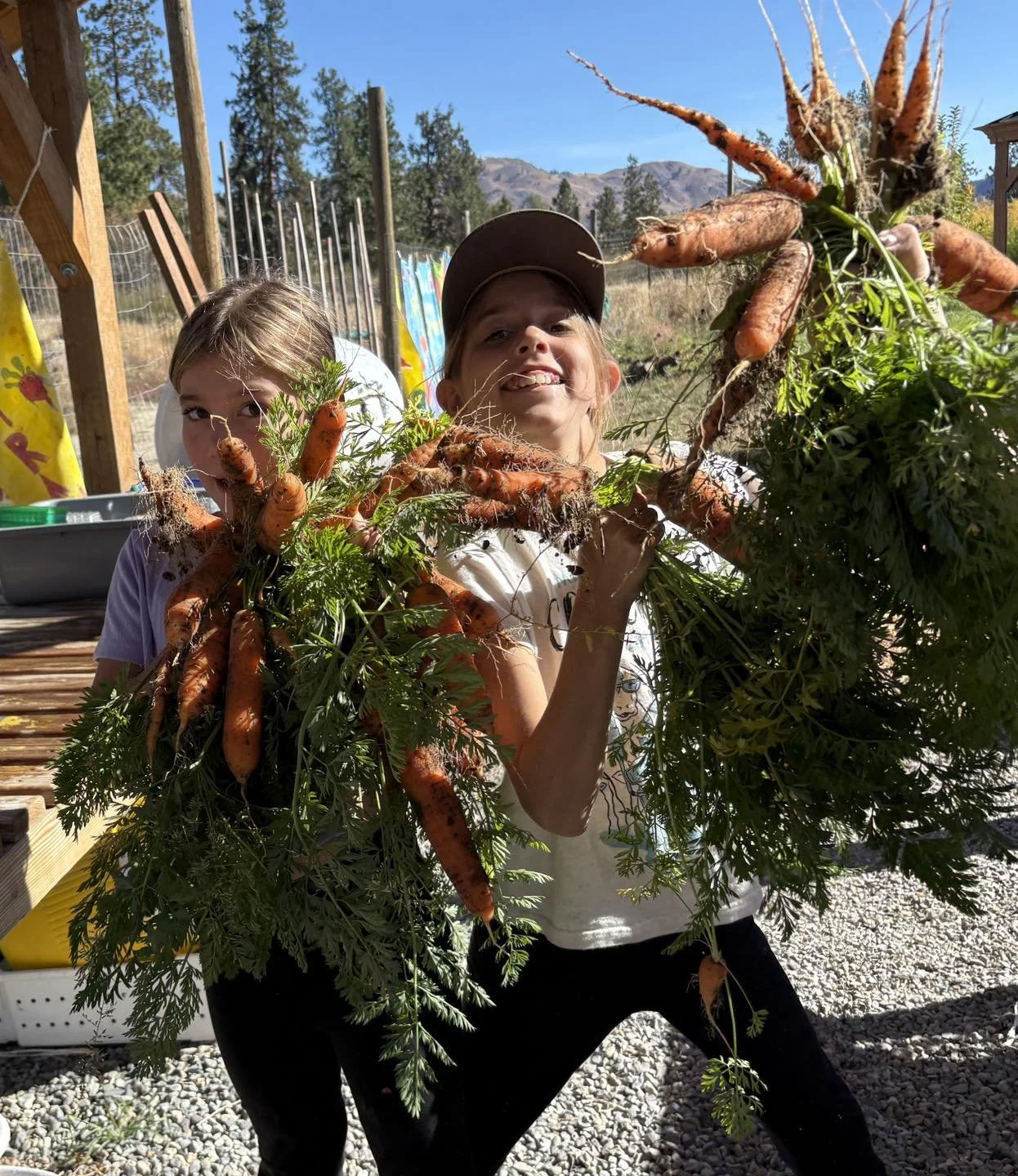 Student-Led Farmers Market