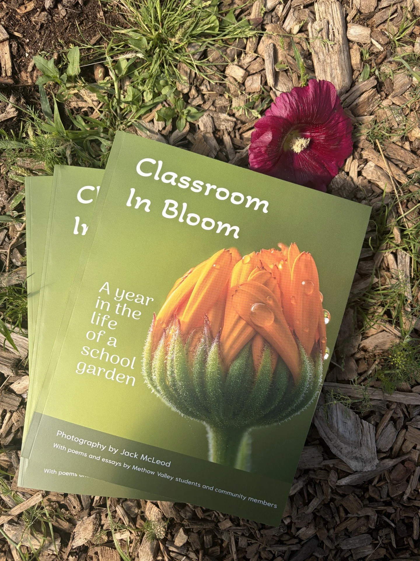 Classroom in Bloom Book Photo.jpg