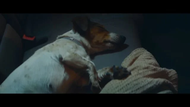 Hyundai “Night Cradle”