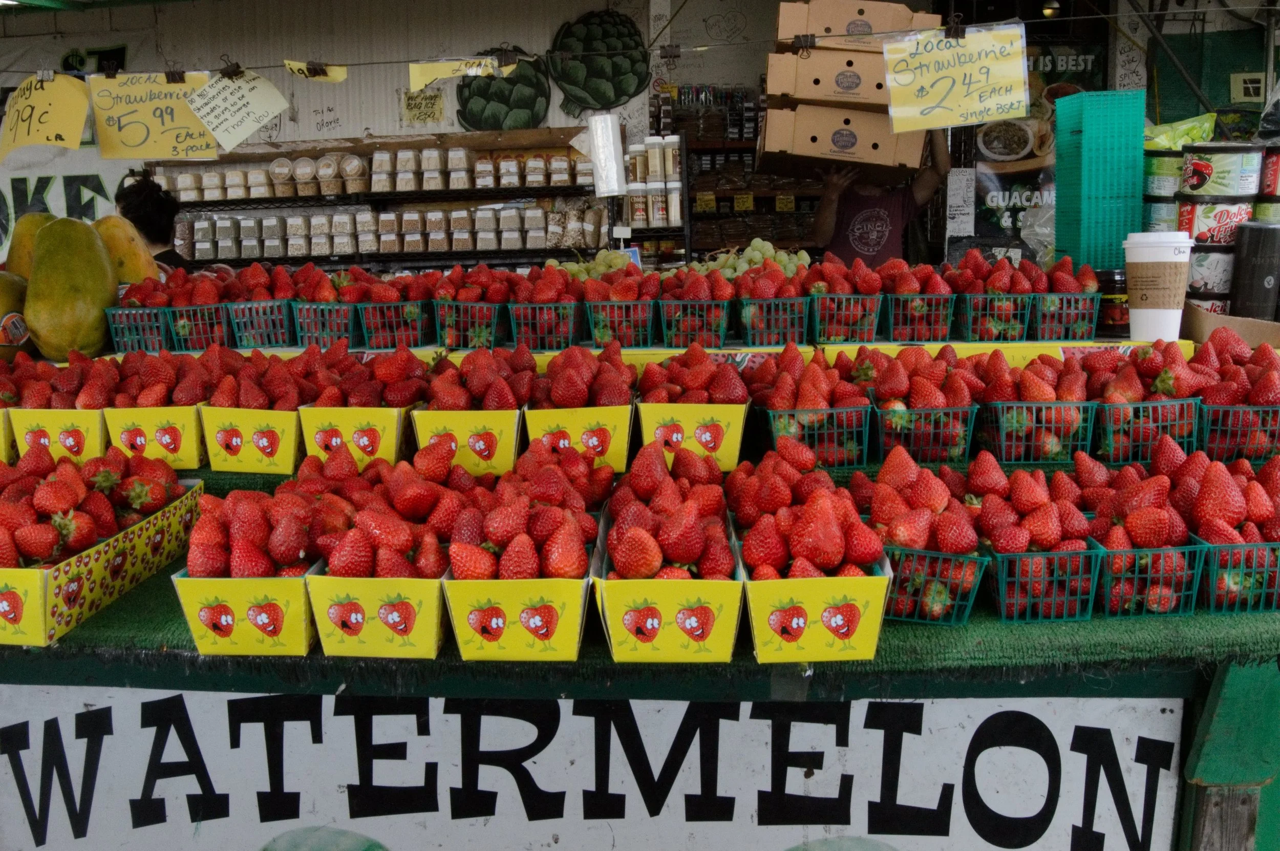 DSC_0511.NEF (1).jpg