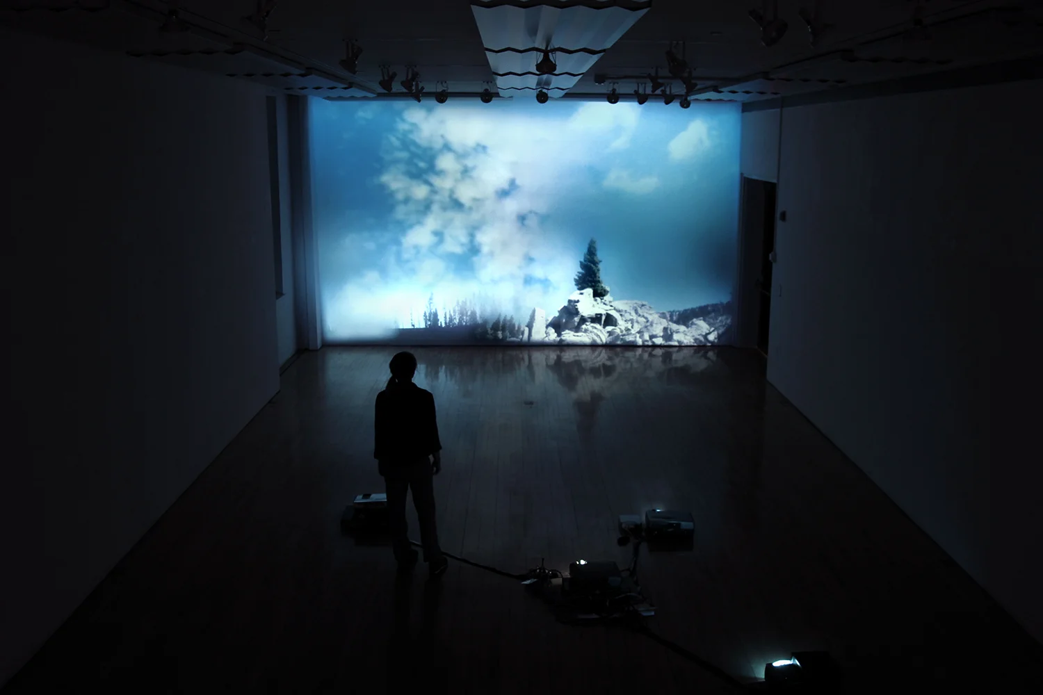Island of Trees, 2011, four channel video projection and sound installation dimensions variable