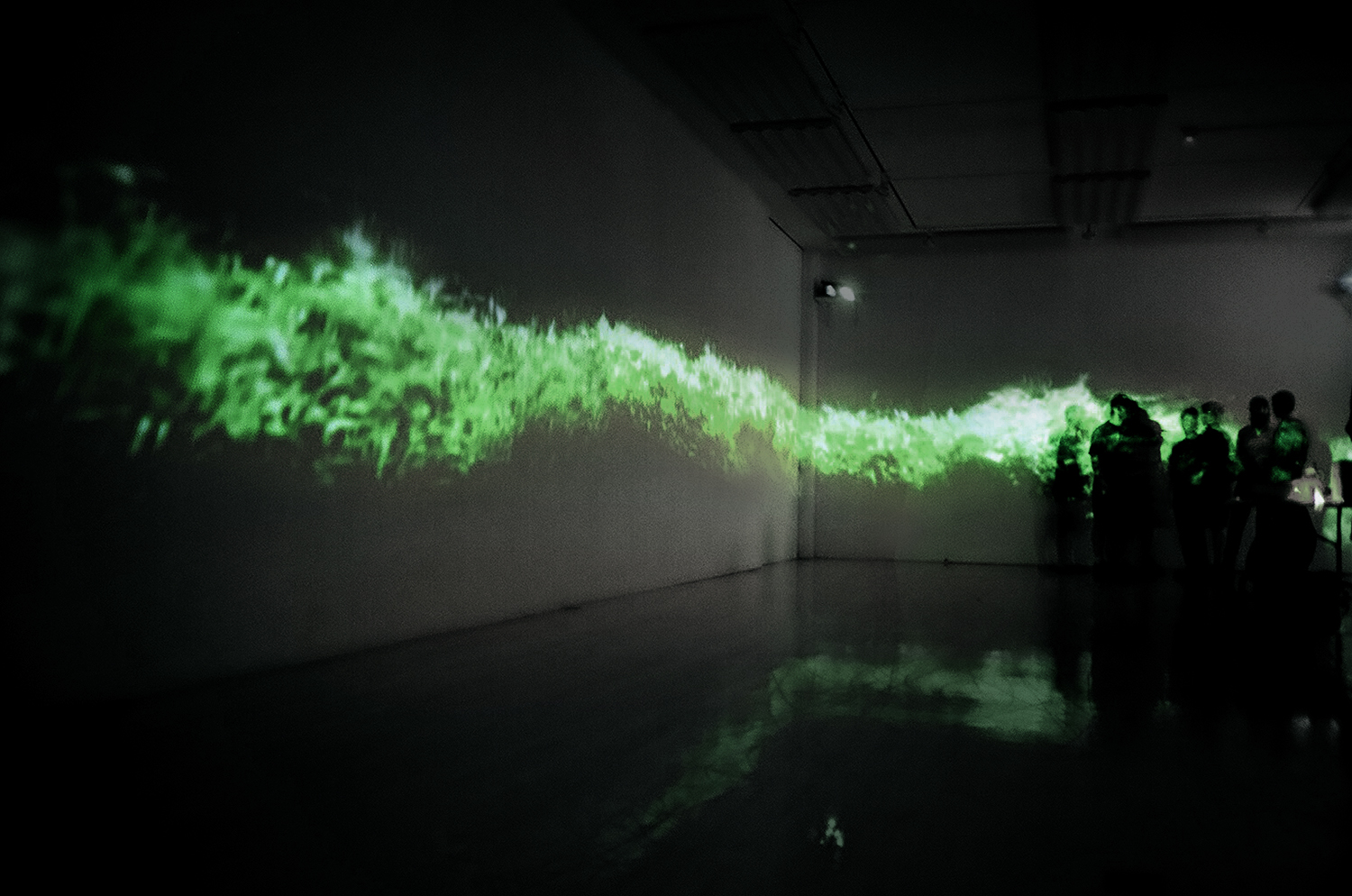 Peripheries, 2007 four channel video projection and sound installation, dimensions variable Photo by Ethan Moses