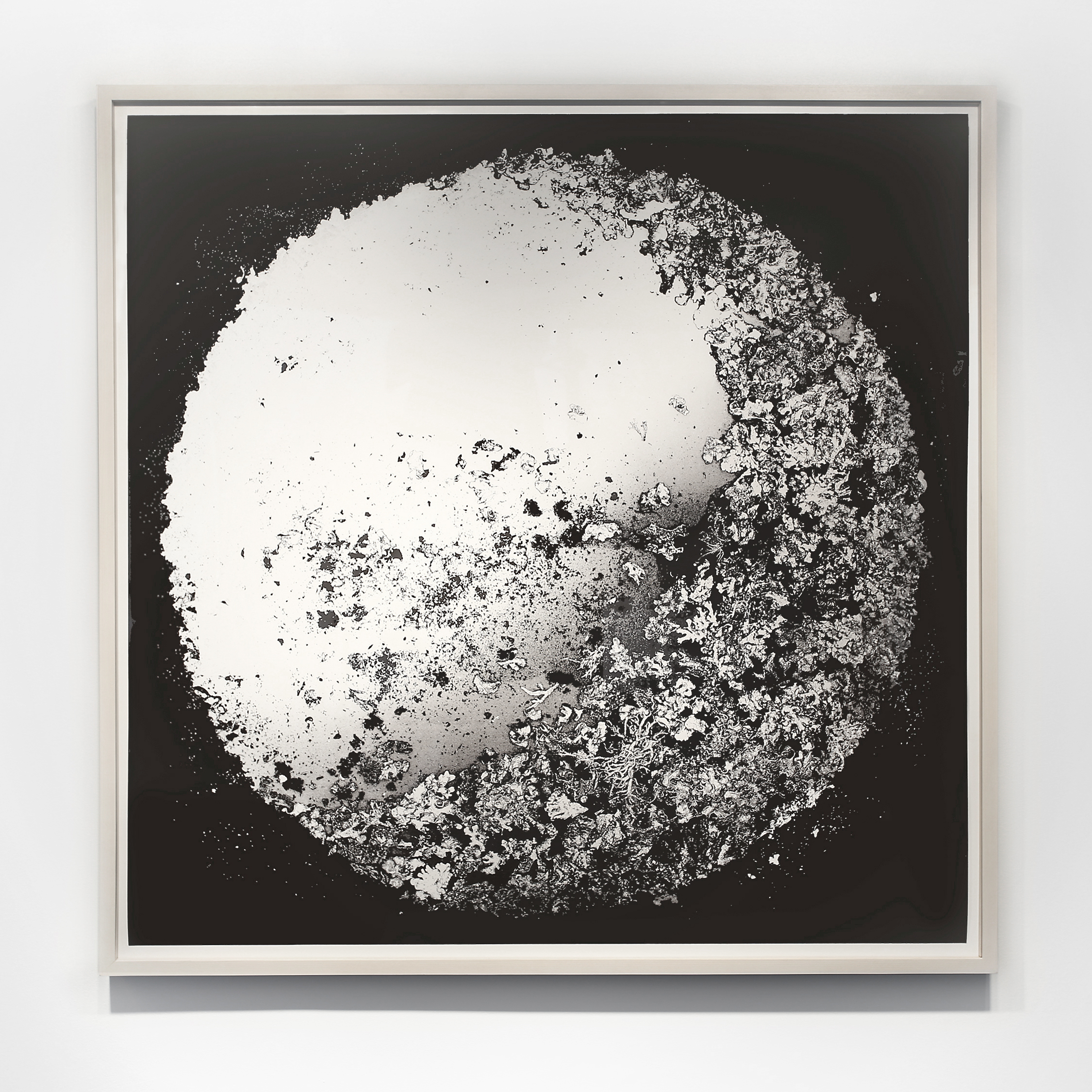 Satellite no. 3 , 2015, digital pigment print, 40 x 40 in