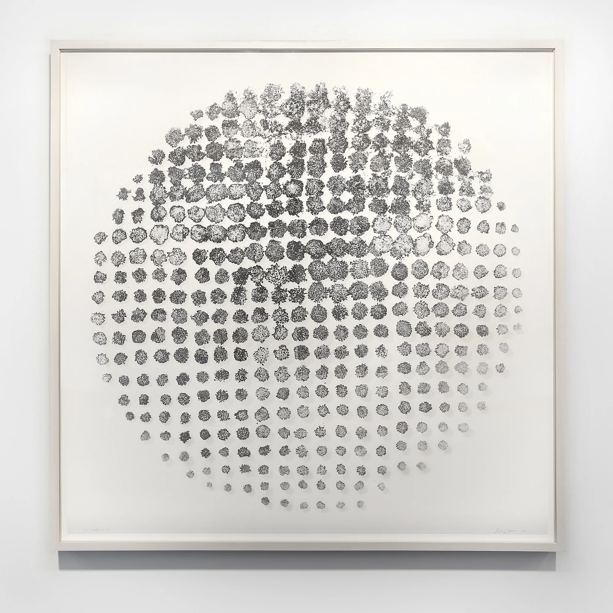 Satellite no. 2, 2015, digital pigment print 40 x 40 in