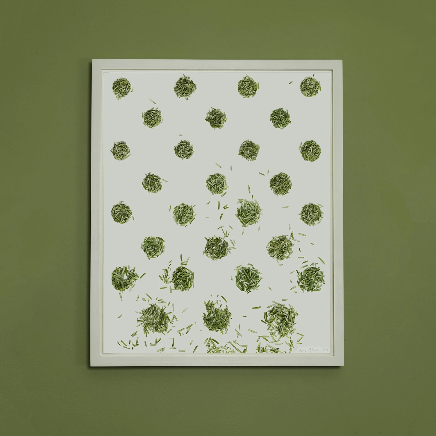 Pine Needle Polka Dot , 2017, digital pigment print, 17.5 x 14.25 in