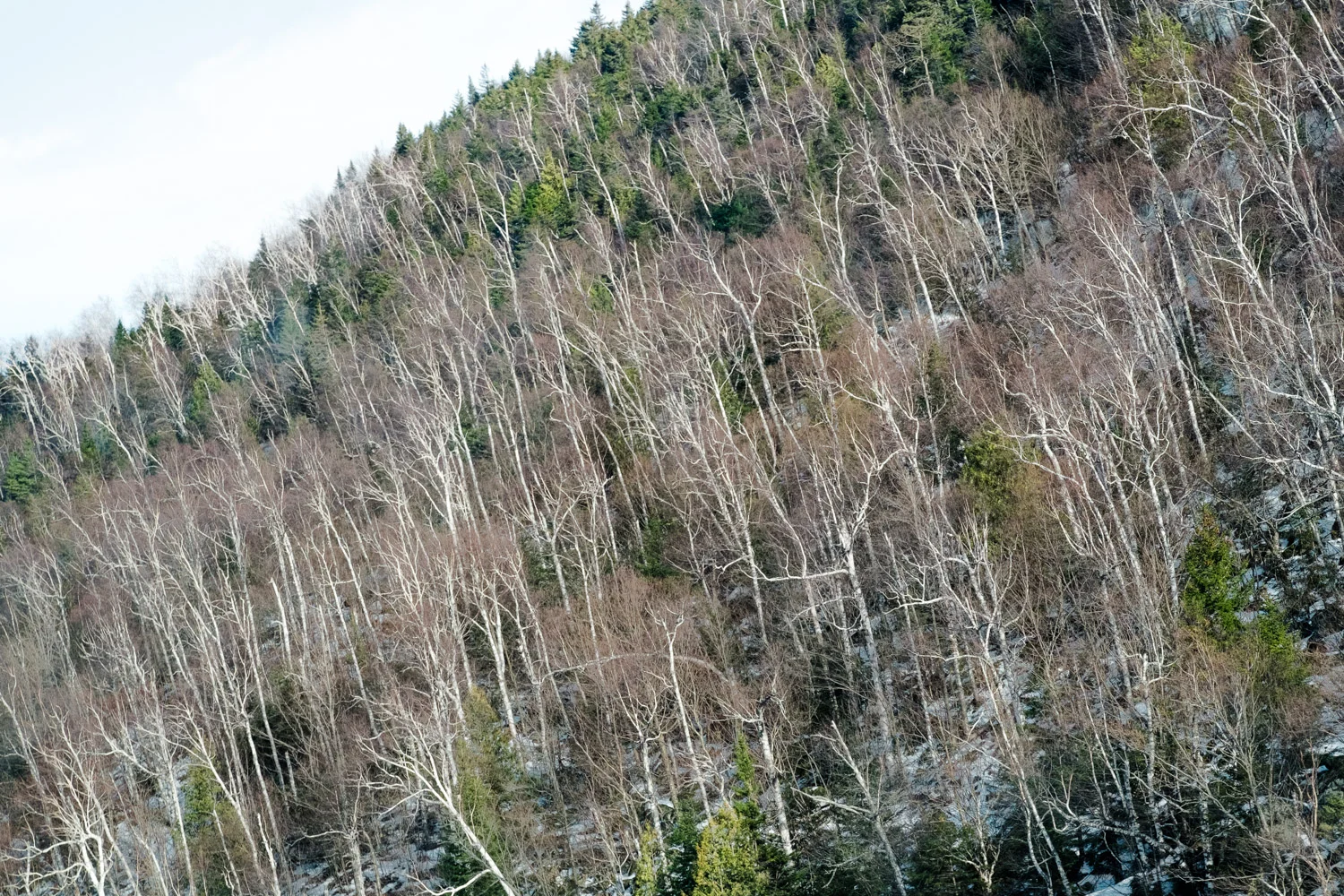 High_Peaks_L.Glover.jpg