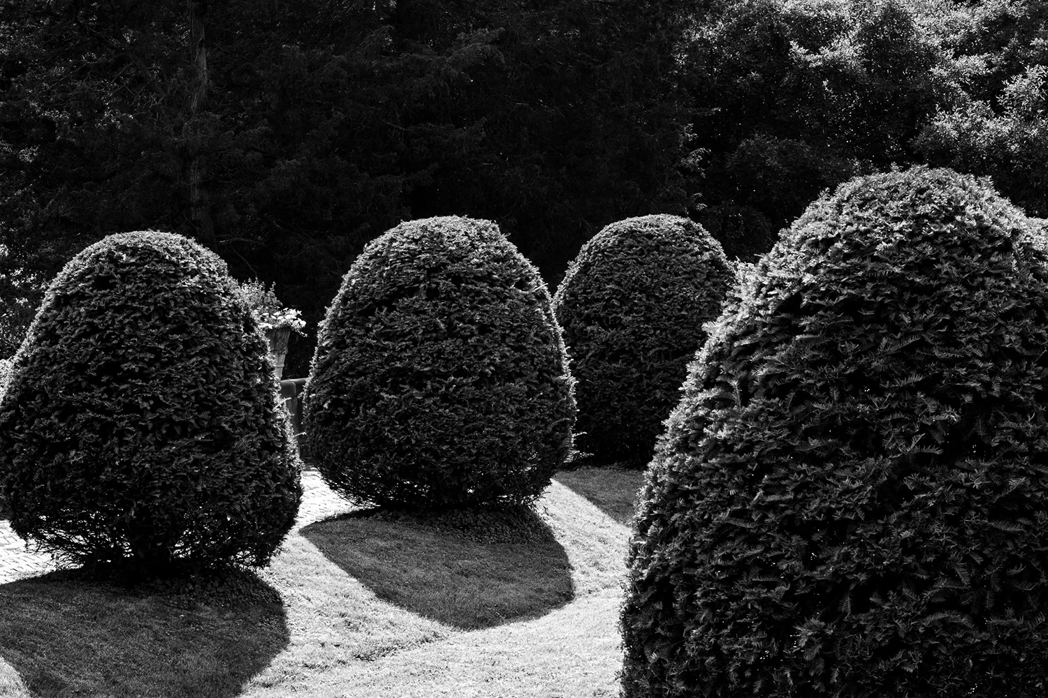 Italian_Garden_2.jpg