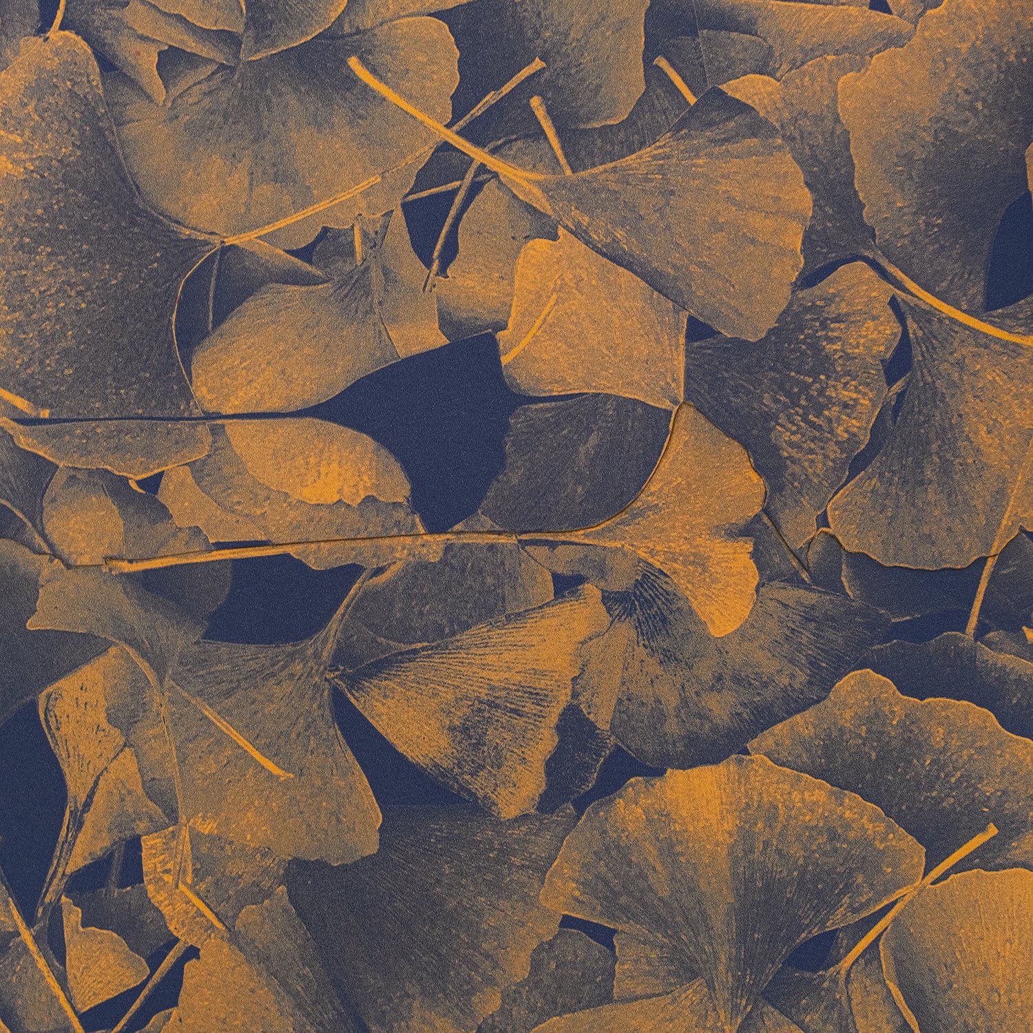   First Frost, Fallen Gingko Leaves  (detail)    