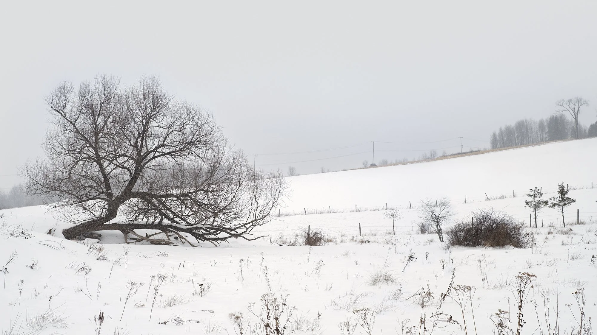 Cortland County Off NY 221