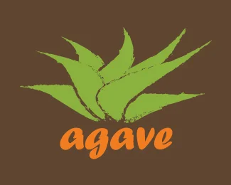 Agave.jpg