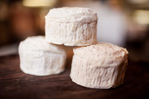 Cavaniola's_10_cheeses_lindsaymorris-3046.jpg