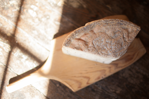 Cavaniola's_10_cheeses_lindsaymorris-3026.jpg