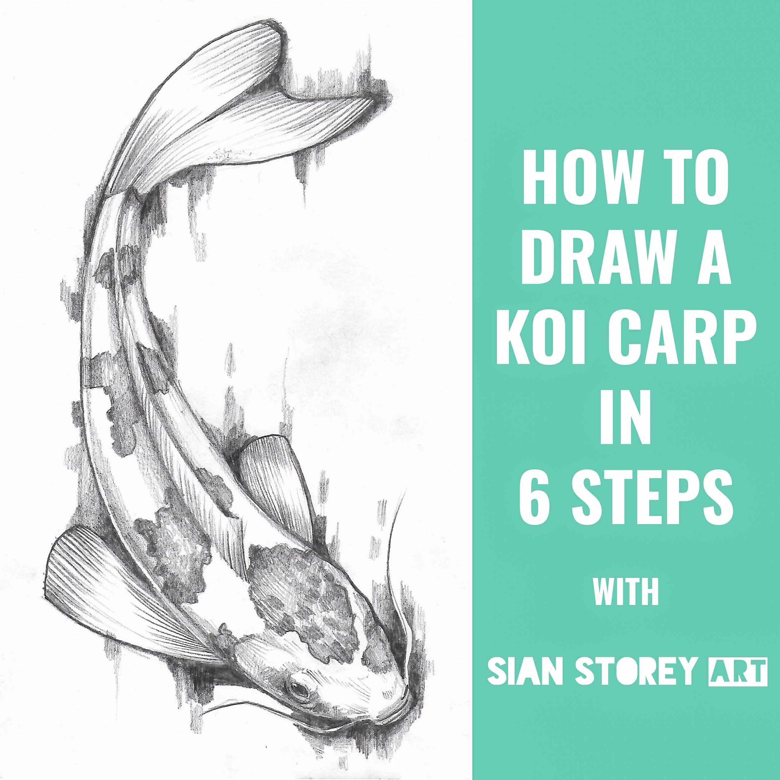 How To Draw Koi With Sian Storey Sian Storey Art