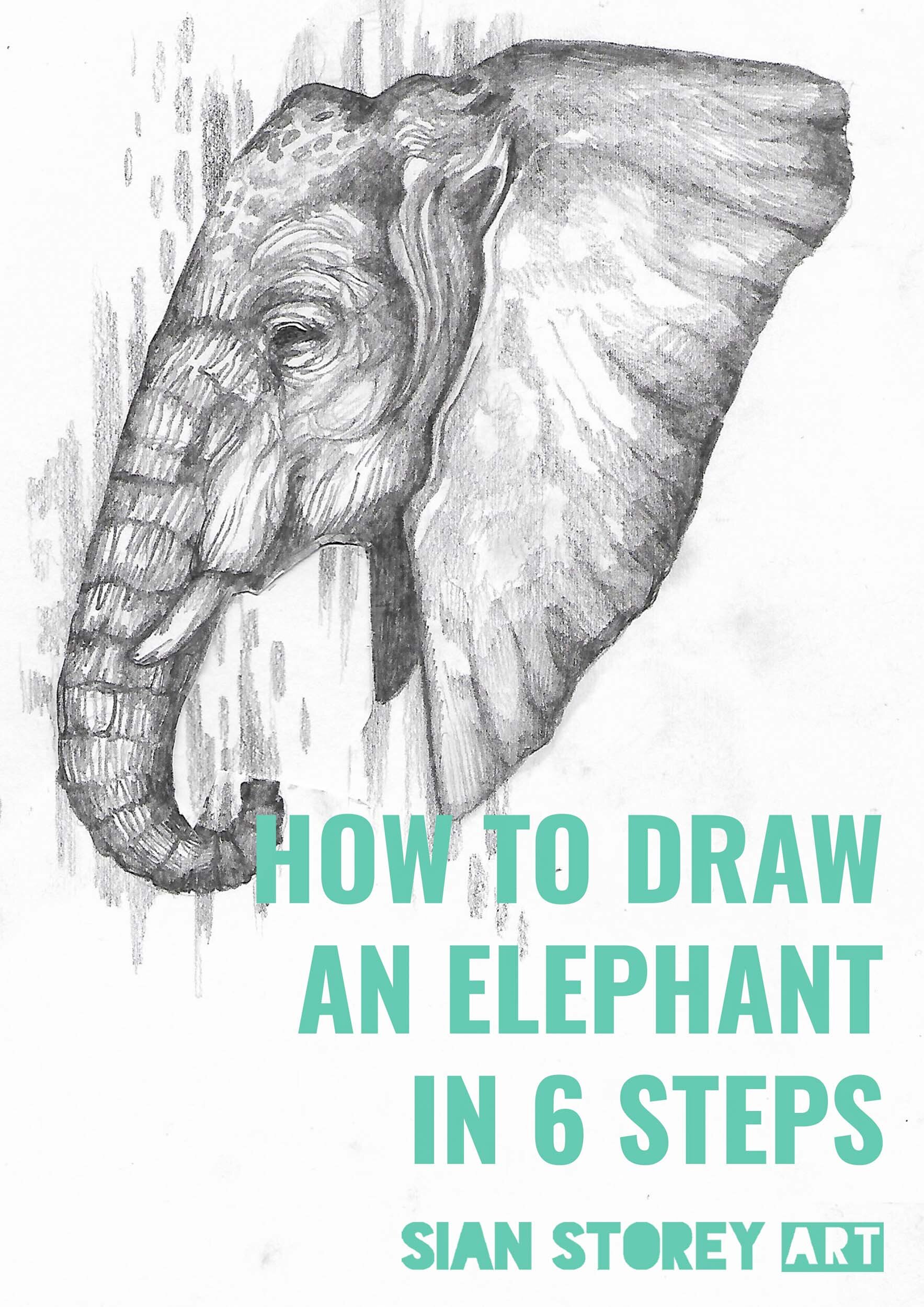 How to draw tutorials — Sian Storey Art