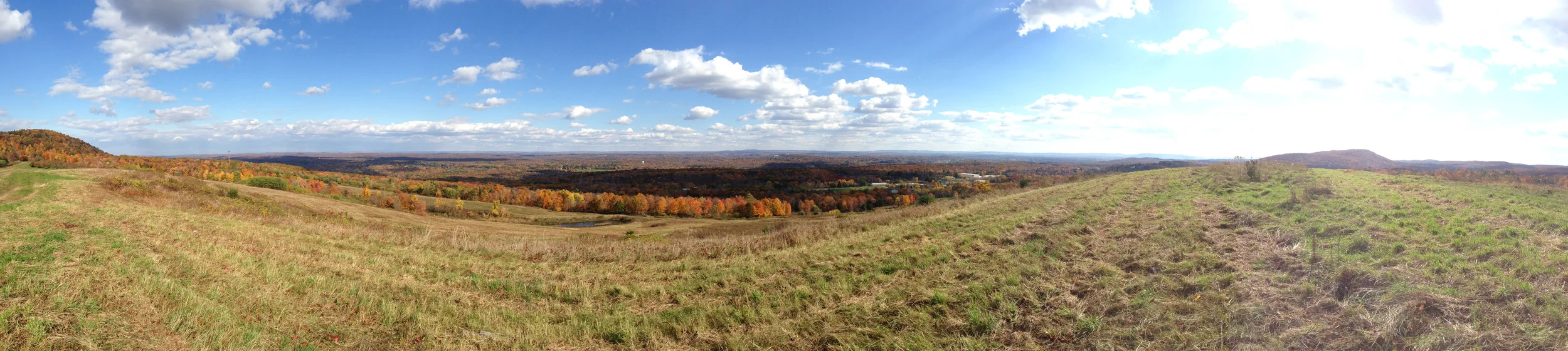 Open Fields.jpg