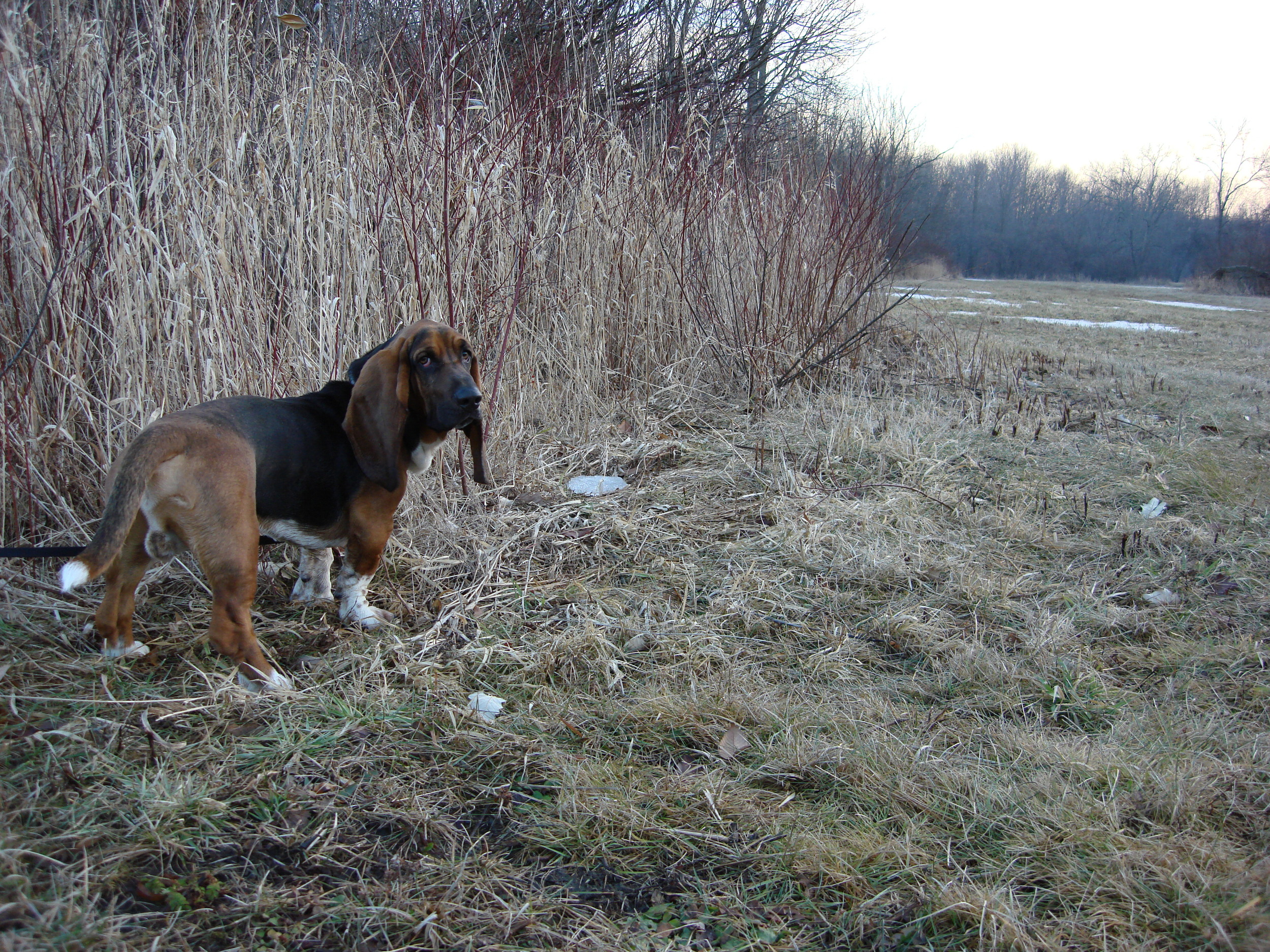 DSC01177.JPG