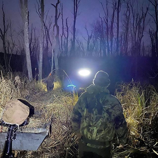 Cold morning setup. If it got wet, it turned to ice. #advancedsportingdogs #duckhunting #h2ofowler