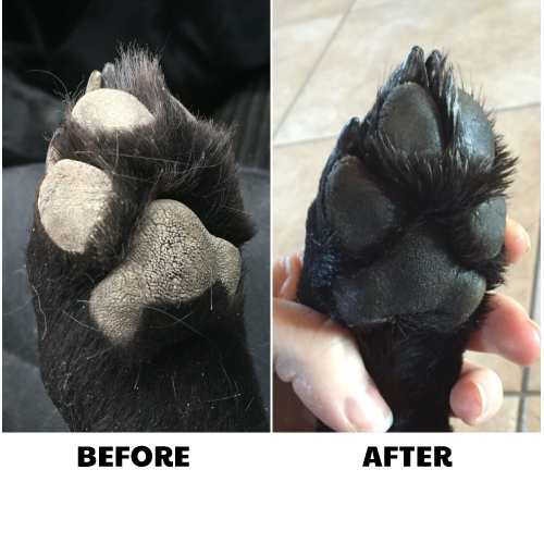 paw pad care