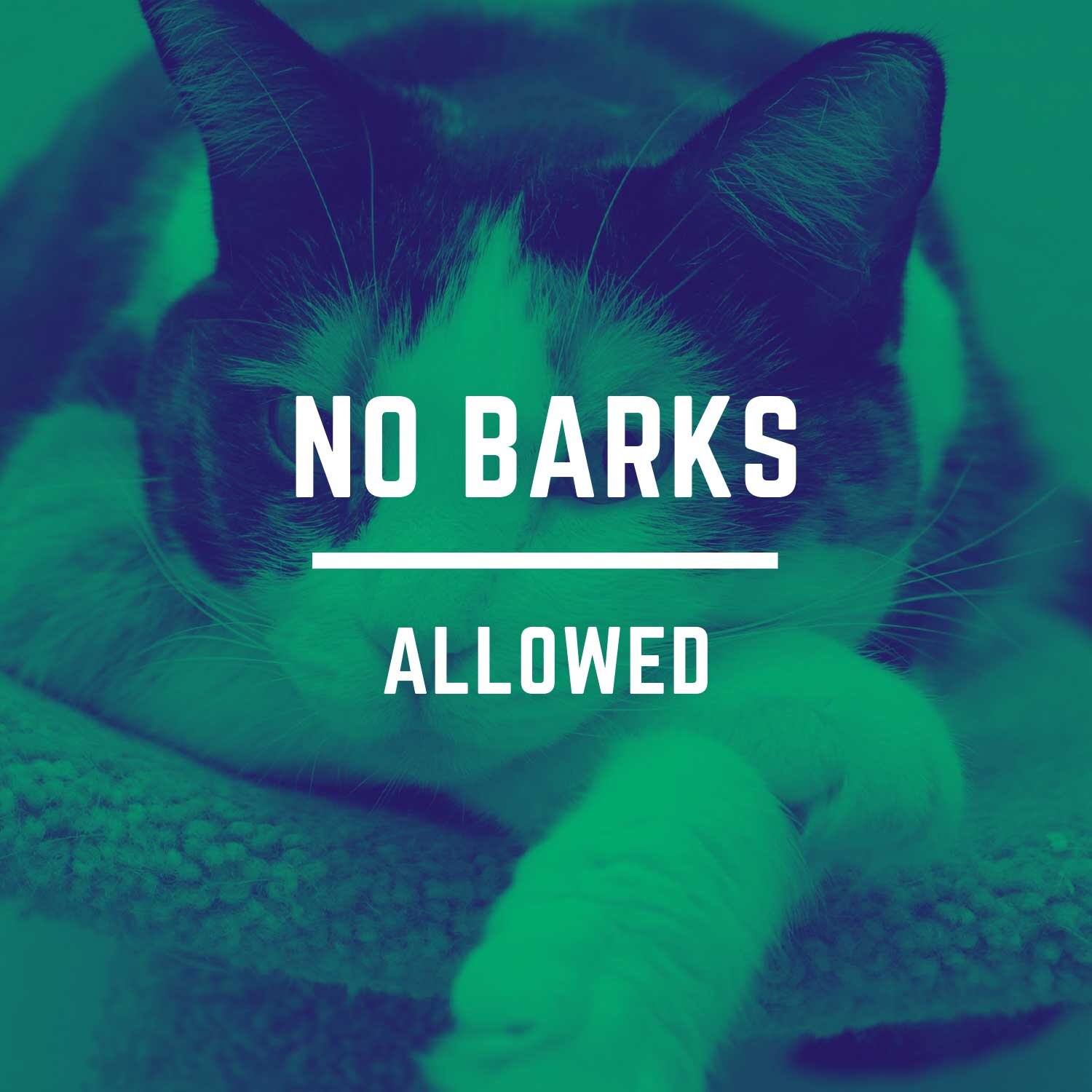 no-barks.jpg