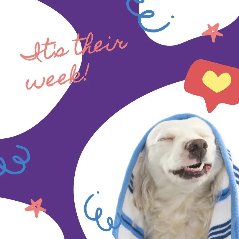 Celebrate Pet Appreciation Week with us!