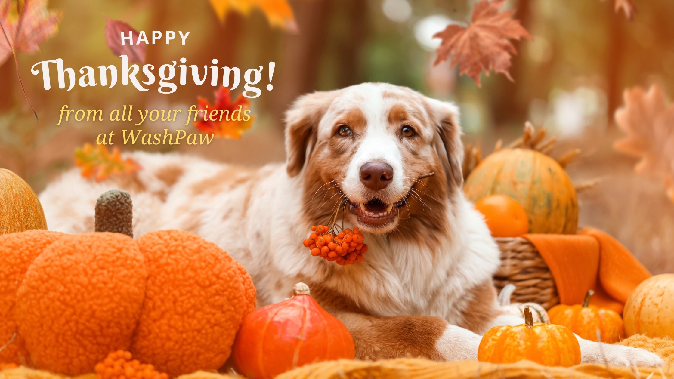 Thanksgiving Break 2025