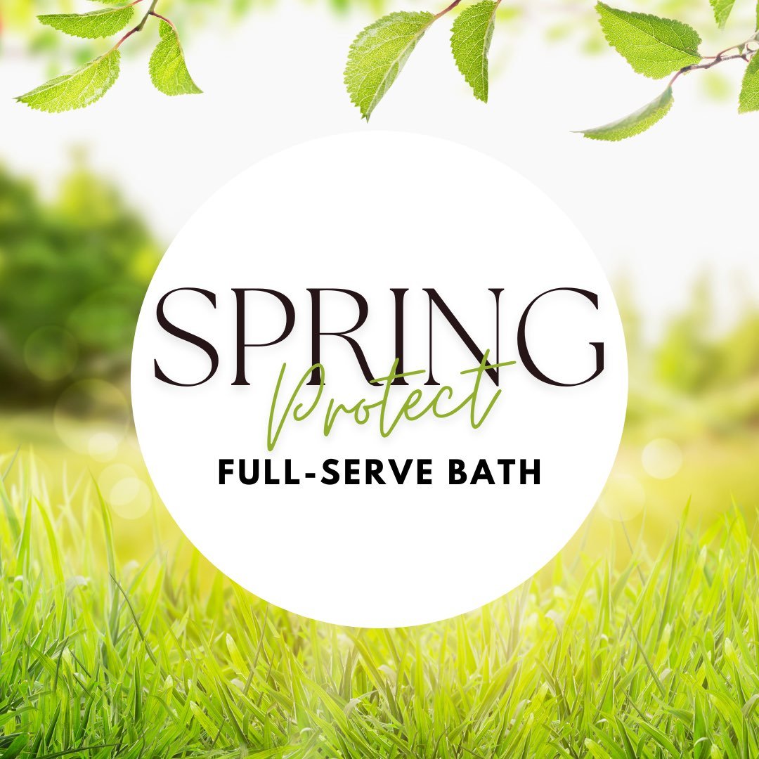 spring full serve bath