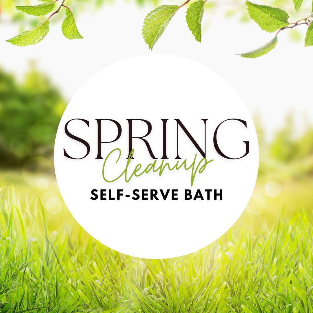 spring dog bath