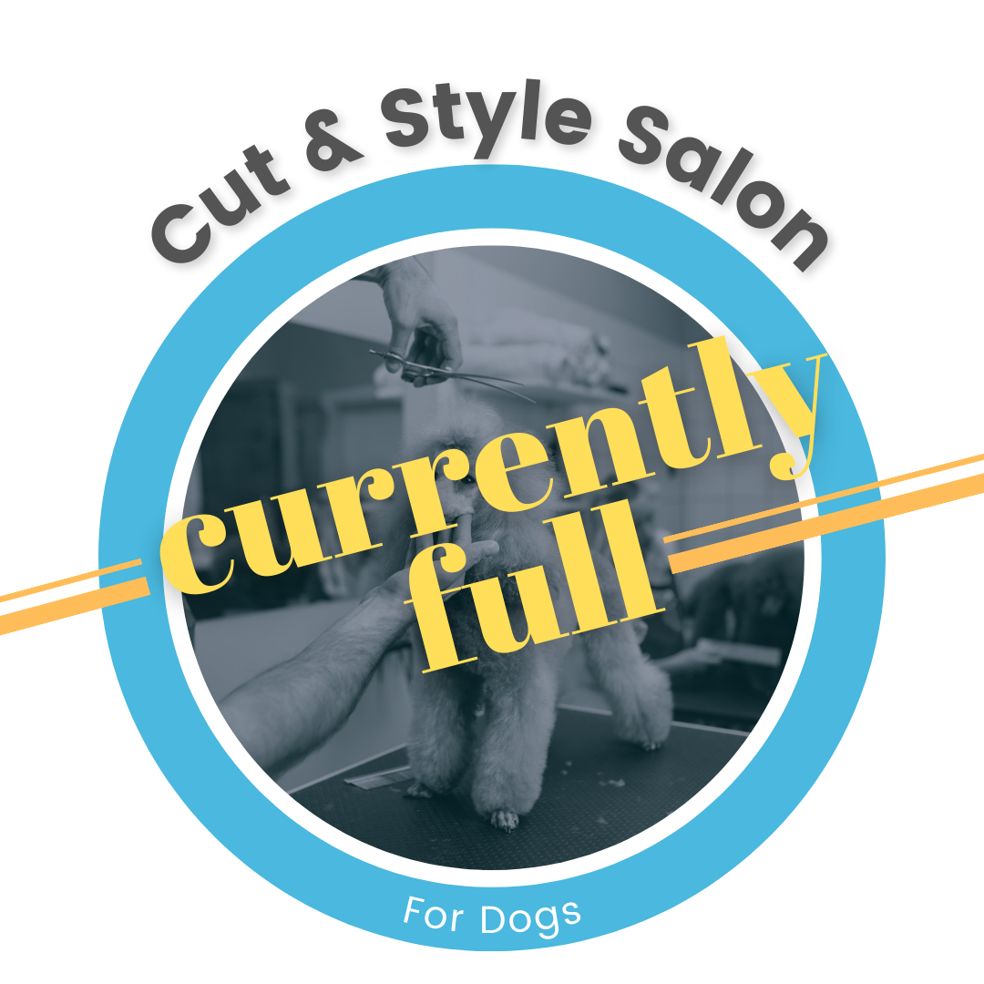 Nashville Pet Grooming & Dog Wash Appointments (Copy) — WashPaw