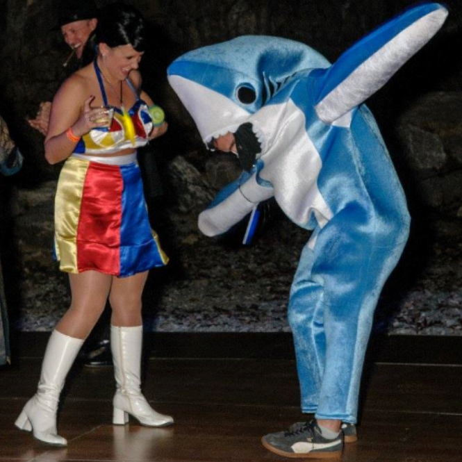 shark.png