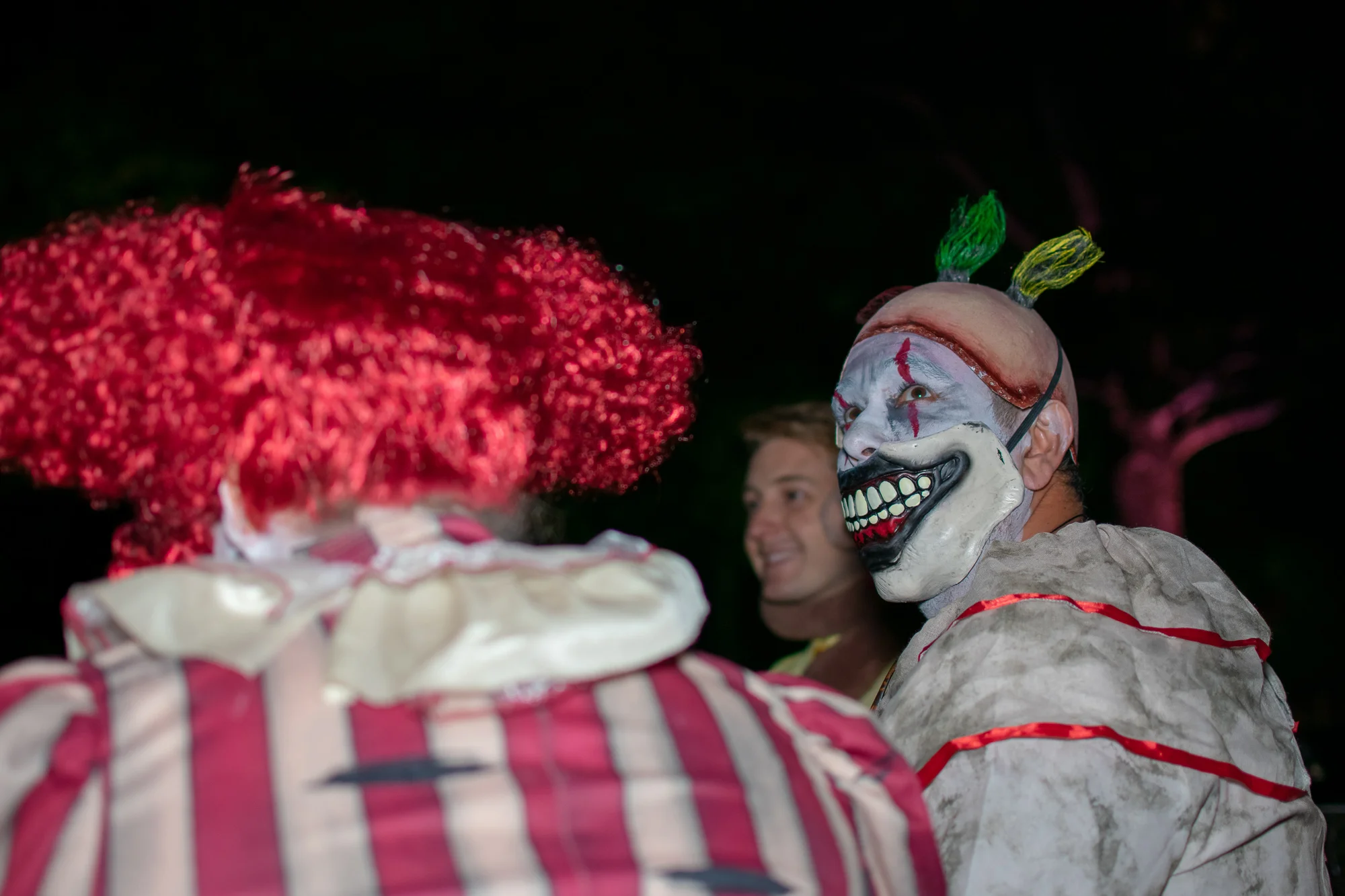 DSC_0037.jpg