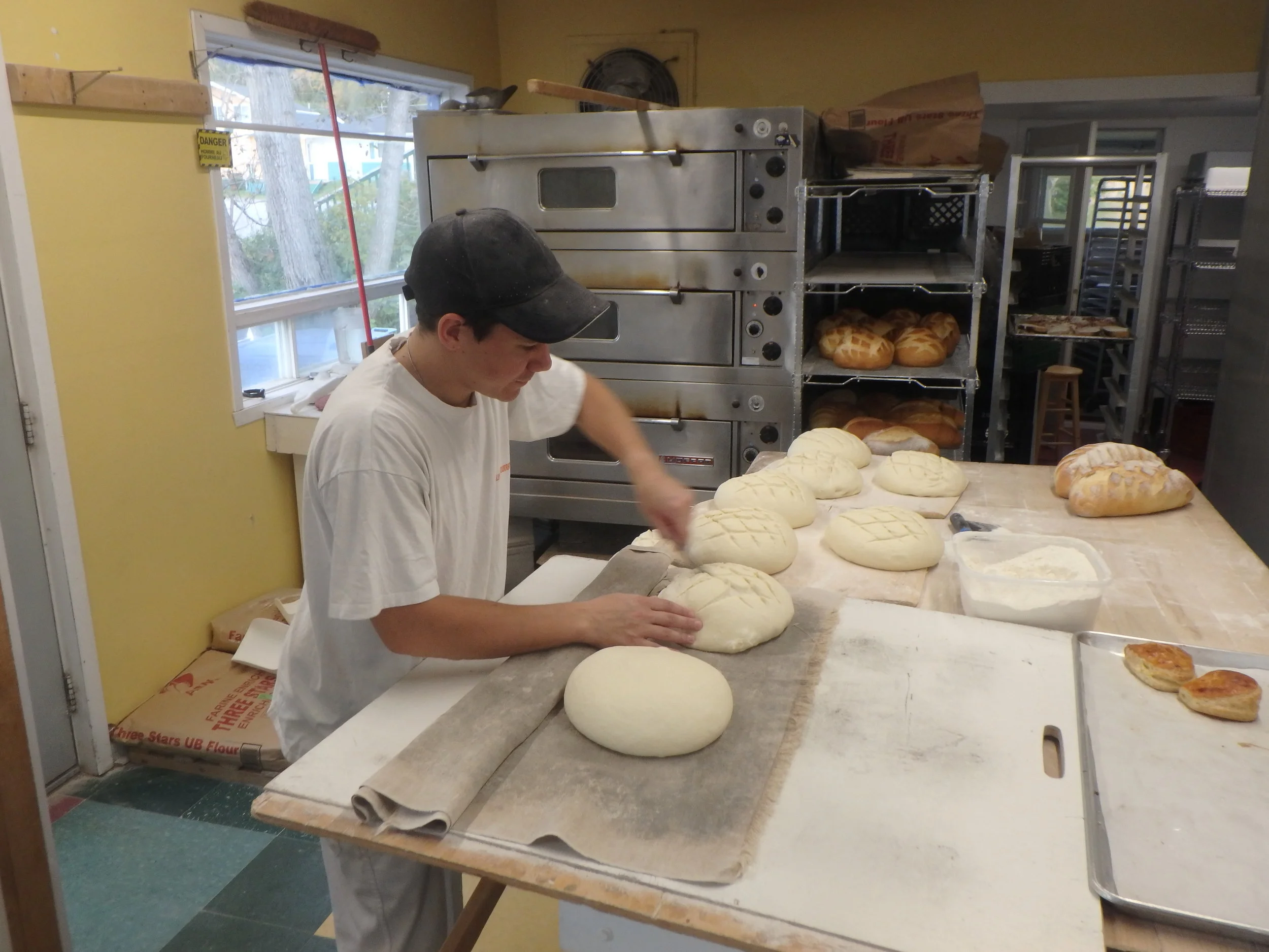 Thibaut hard at work, 2018