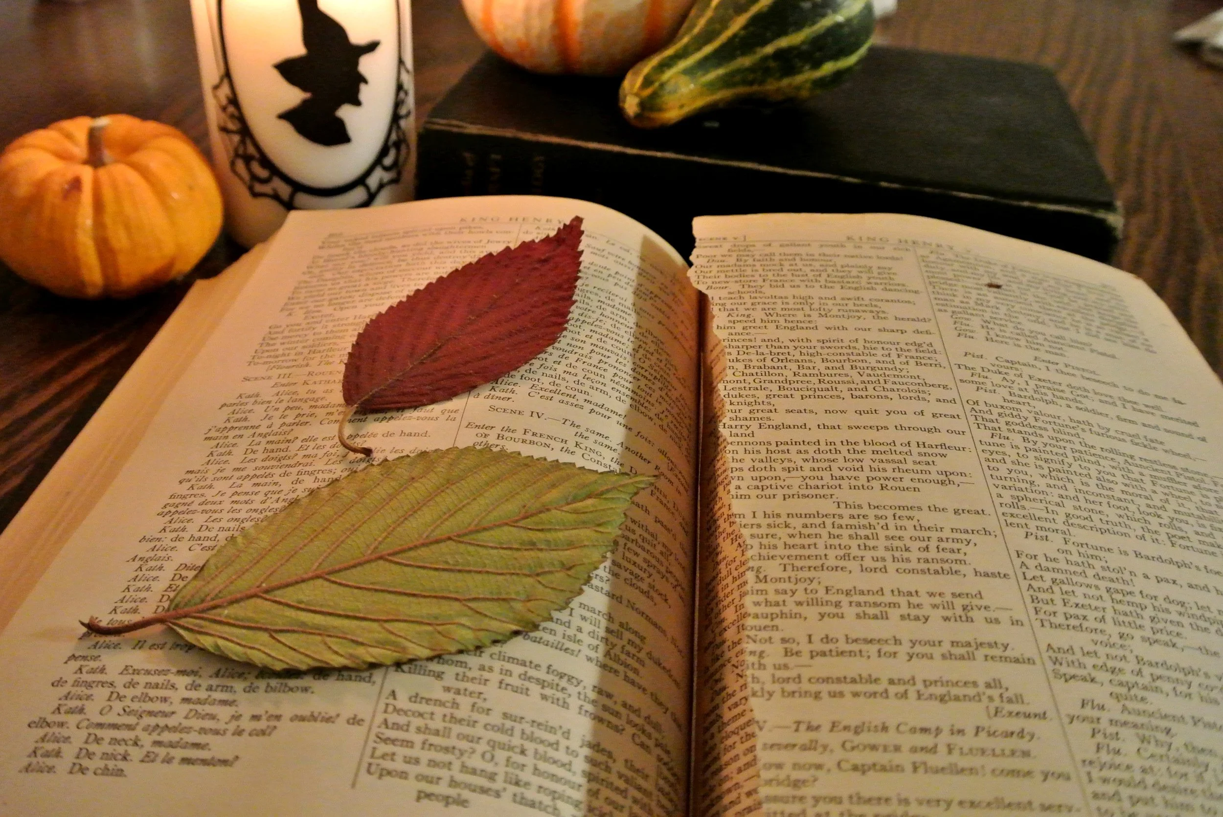 Pressed Leaves - S. Hurd