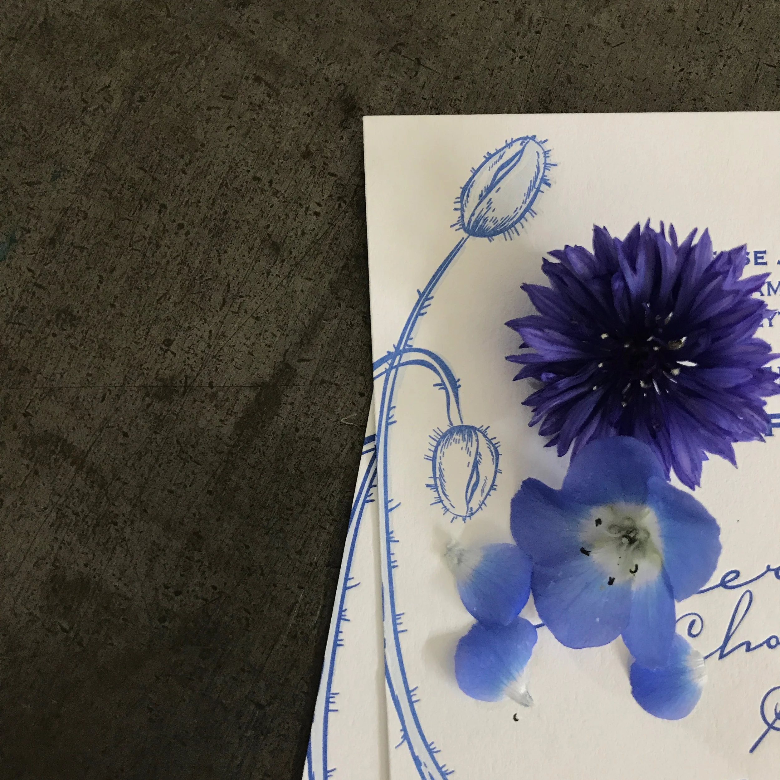 Detail on invitation designed and printed for a memorial service.