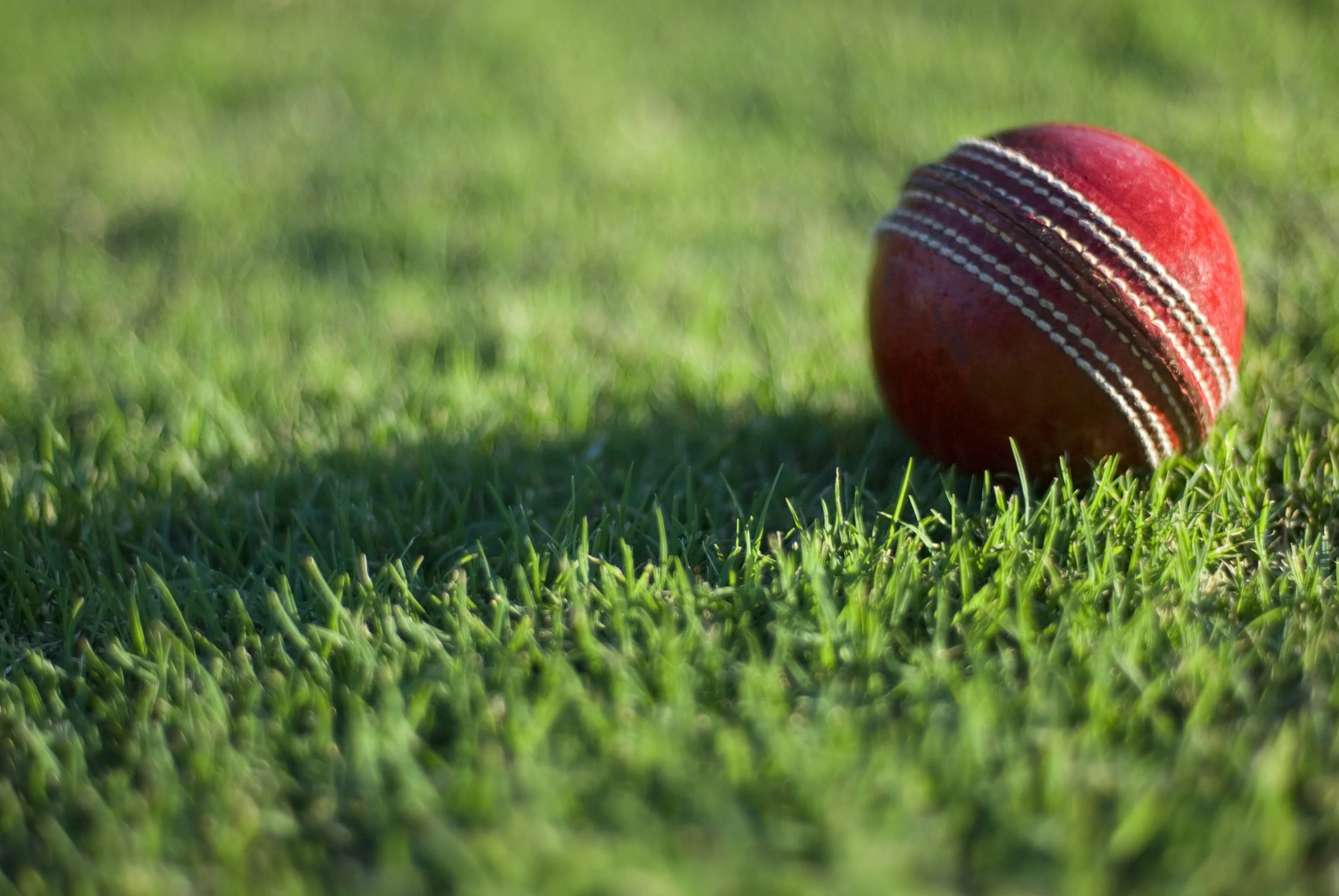 Cricket.jpg
