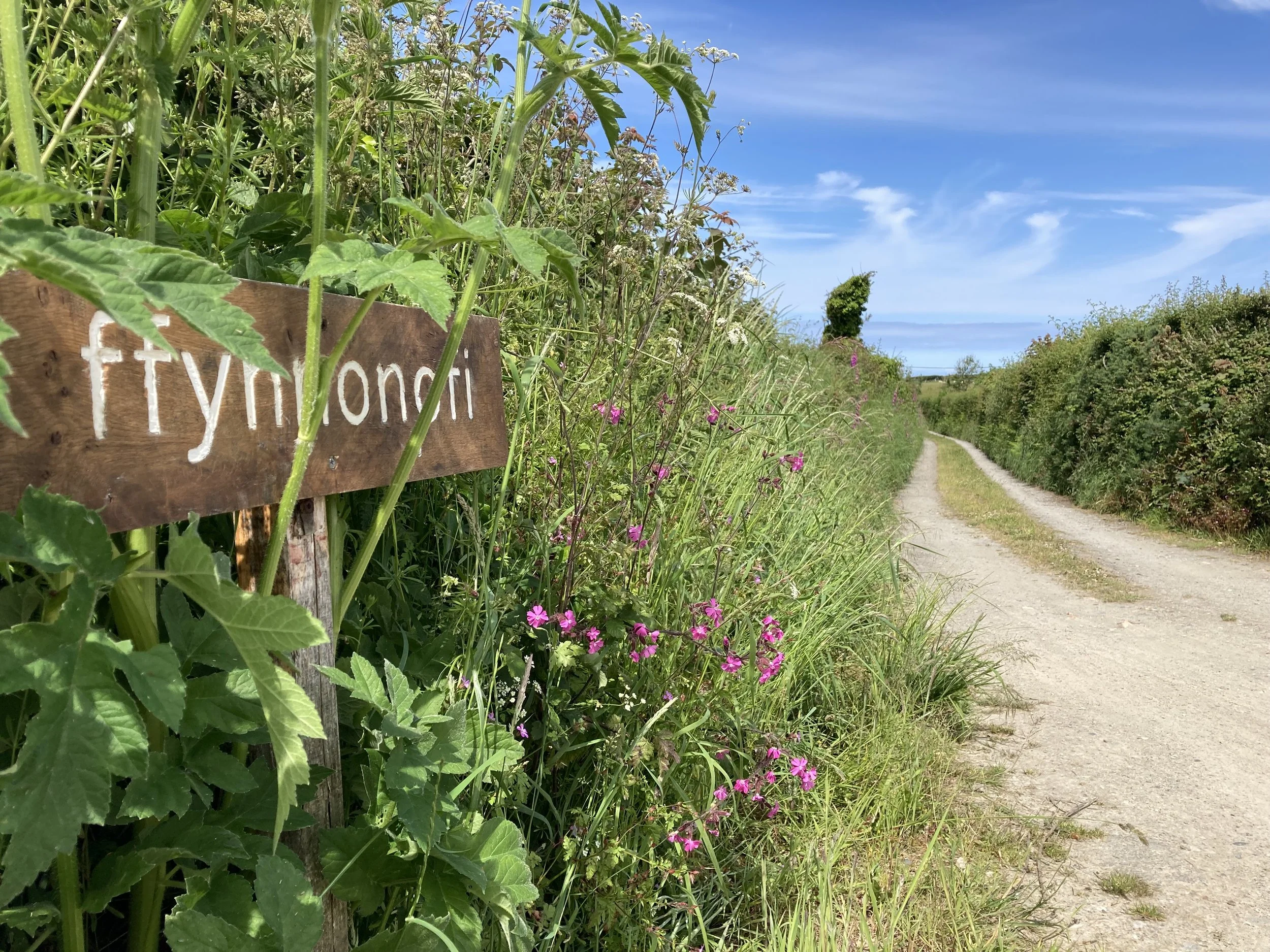 Entrance to Ffynnonofi 