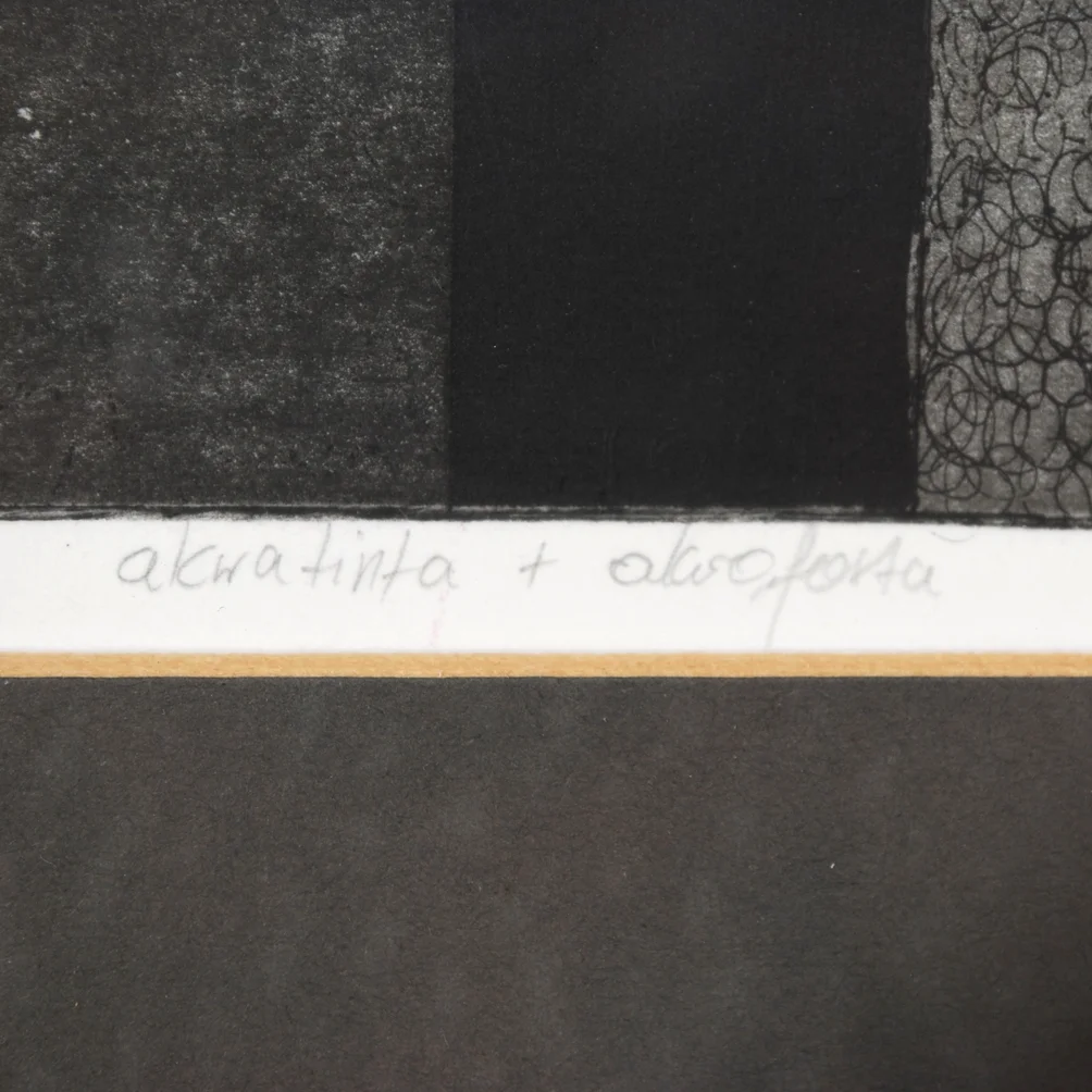 'The Theory of Human Evolution' Anna Stosik 1999, graphics technique Aquatint and Etching, signed, framed