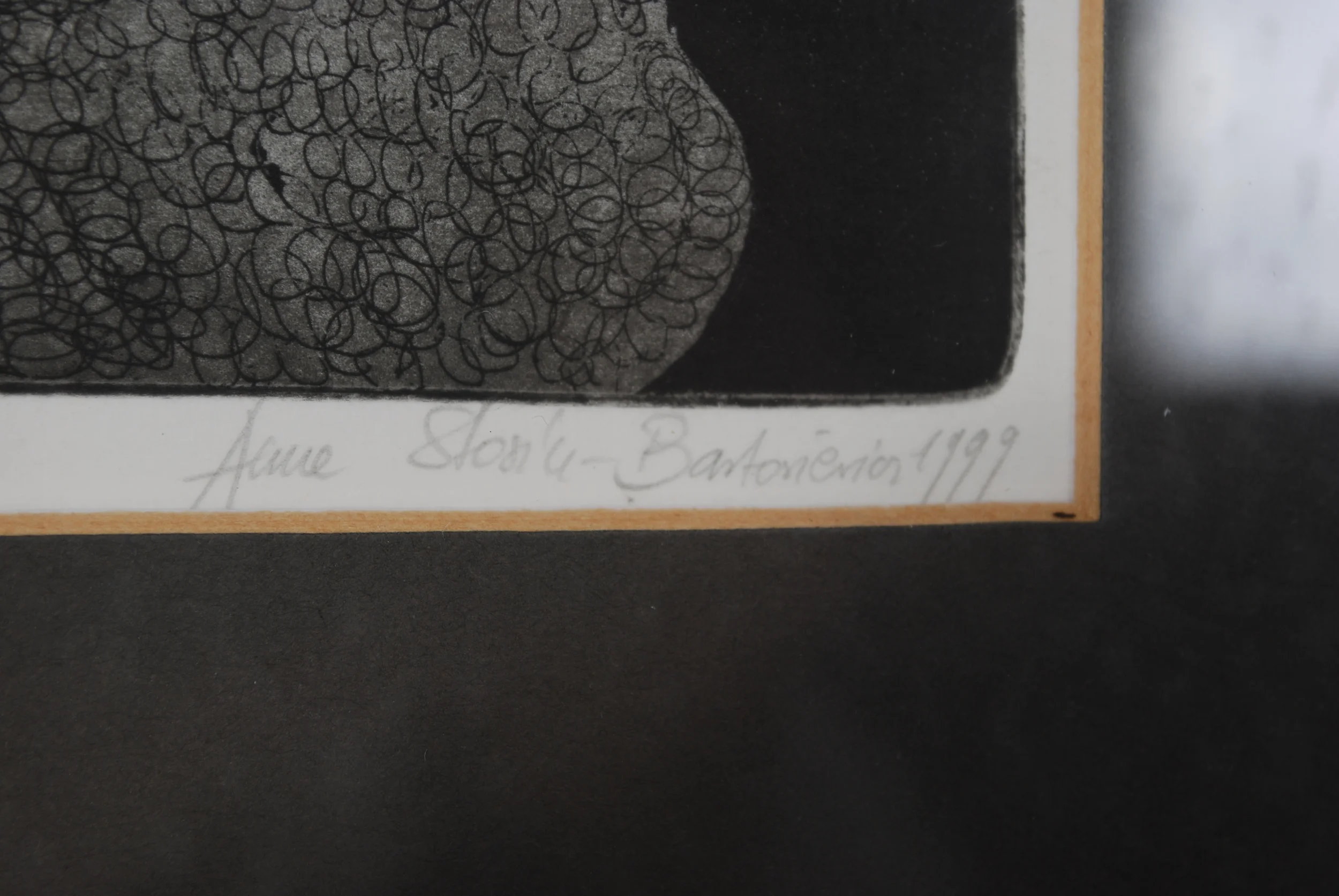 00000113 The-Theory-of-Human-Evolution-aquatint-etching-wall-decoration (18).JPG