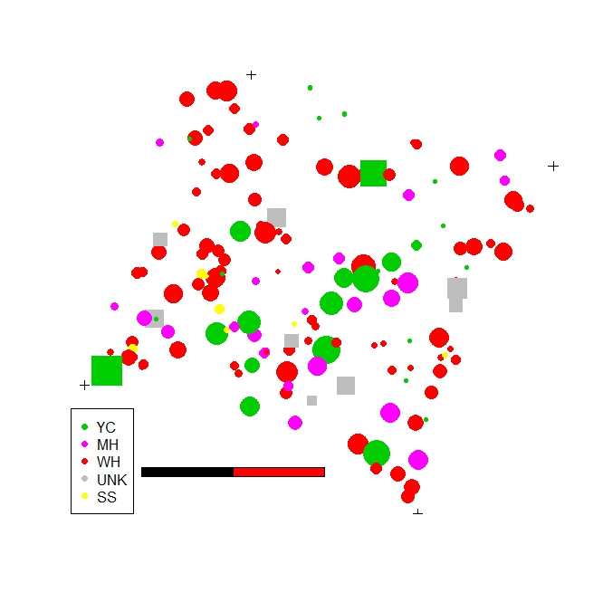 The map doesn't look like much now, but it's packed with associated data. Each tree is represented by a circle (live) or square (dead). The scale bar is 10m, for a total plot size of 20x20m. Seedlings are hardly visible, but there - size is proportional to DBH. We have a bunch of these plots now, and many of the yellow cedar (live and dead) are scheduled to be harvested. How will those disturbances interact? What will it mean for the remaining species and overall successional trajectory?