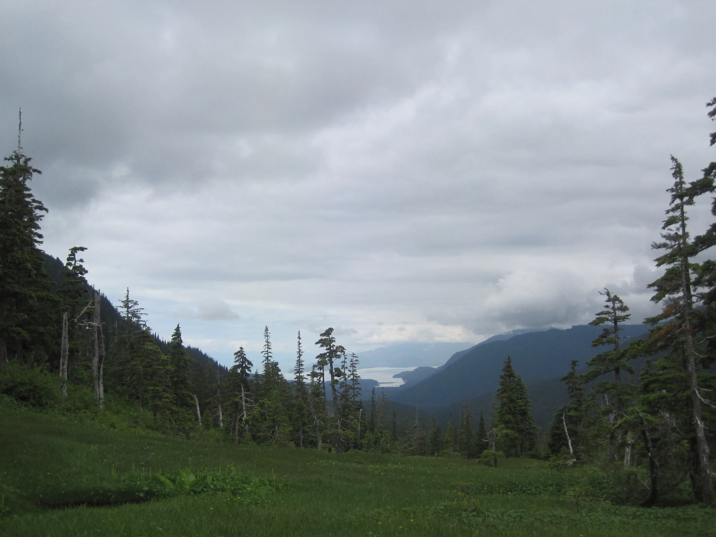 Not my best picture, but one that shows the entire forest. The picture is from the top of Boulder Pass, at the back end of the Heen Latinee Exp. Forest (end of the south fork). In the distance you can see Echo Cove, the bottom of the watershed. Glaciers are to the right, in the clouds. We modeled biomass across this entire watershed (everything that drains into the cove, three major watersheds of which this is one). For a cool comparison to a picture from nearly this exact spot but from the early 1900's, see http://juneaunature.org/wp-content/uploads/2014/04/pondechocove.pdf. There's also considerable historical information in that document.