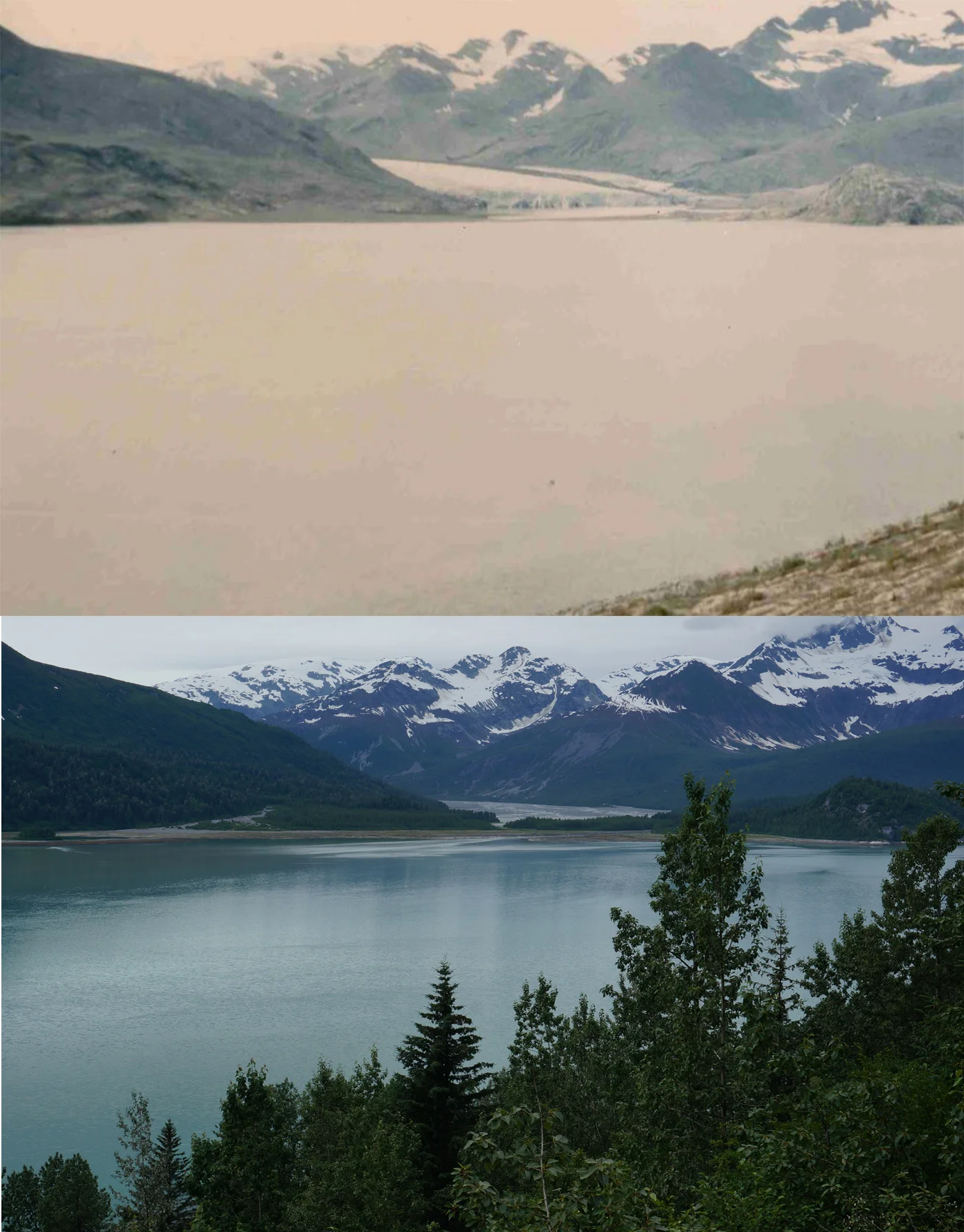 Hugh Miller Inlet in 1941 and 2016. Note the glacier in 1941 was near the island in 1916, and retreated considerably by the time the photo was taken. It is not visible in 2016, only mudflats remain in the distance.