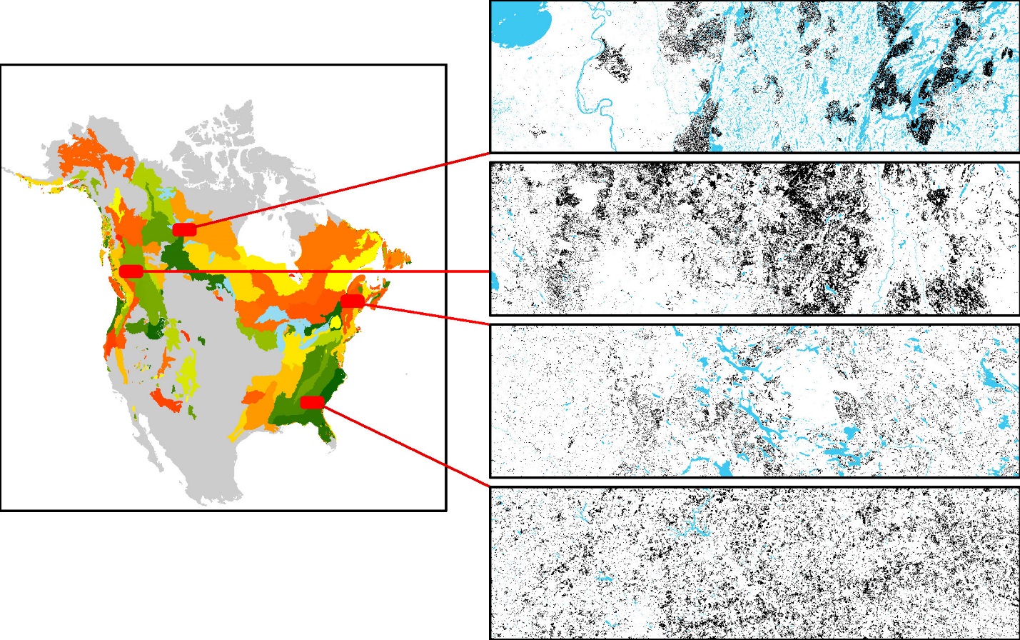 Differences in spatial pattern are apparent at multiple scales, from 30m pixel arrangements in a small area to big, landscape spanning shapes (>100 km2). By analyzing them simultaneously, we can extract significant amounts of new information regarding ecosystem functioning. By doing this simultaneously across the continent, a new understanding of the similarities and differences between different ecoregions emerges. Riiters, Constanza, and Buma 2017.