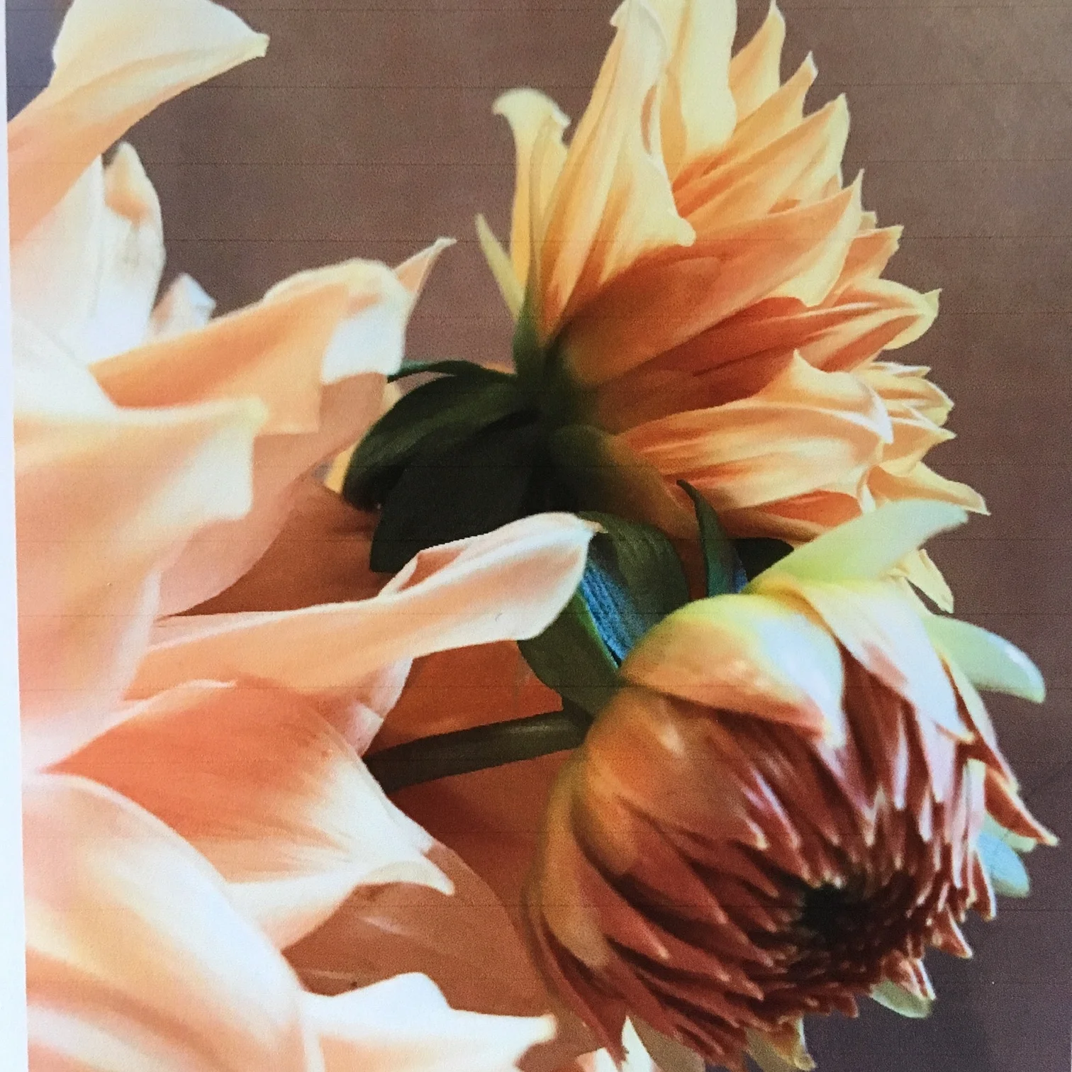 Mastering Your Empathy